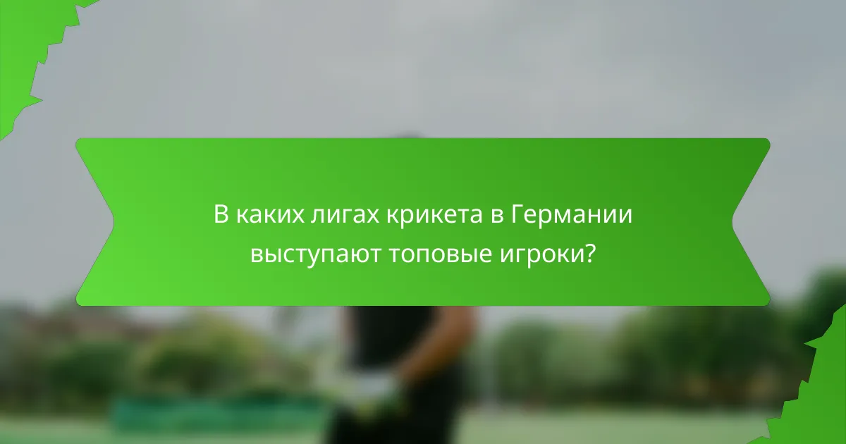 В каких лигах крикета в Германии выступают топовые игроки?