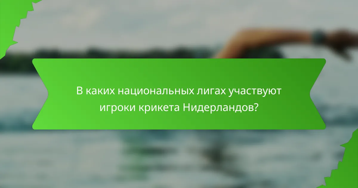 В каких национальных лигах участвуют игроки крикета Нидерландов?